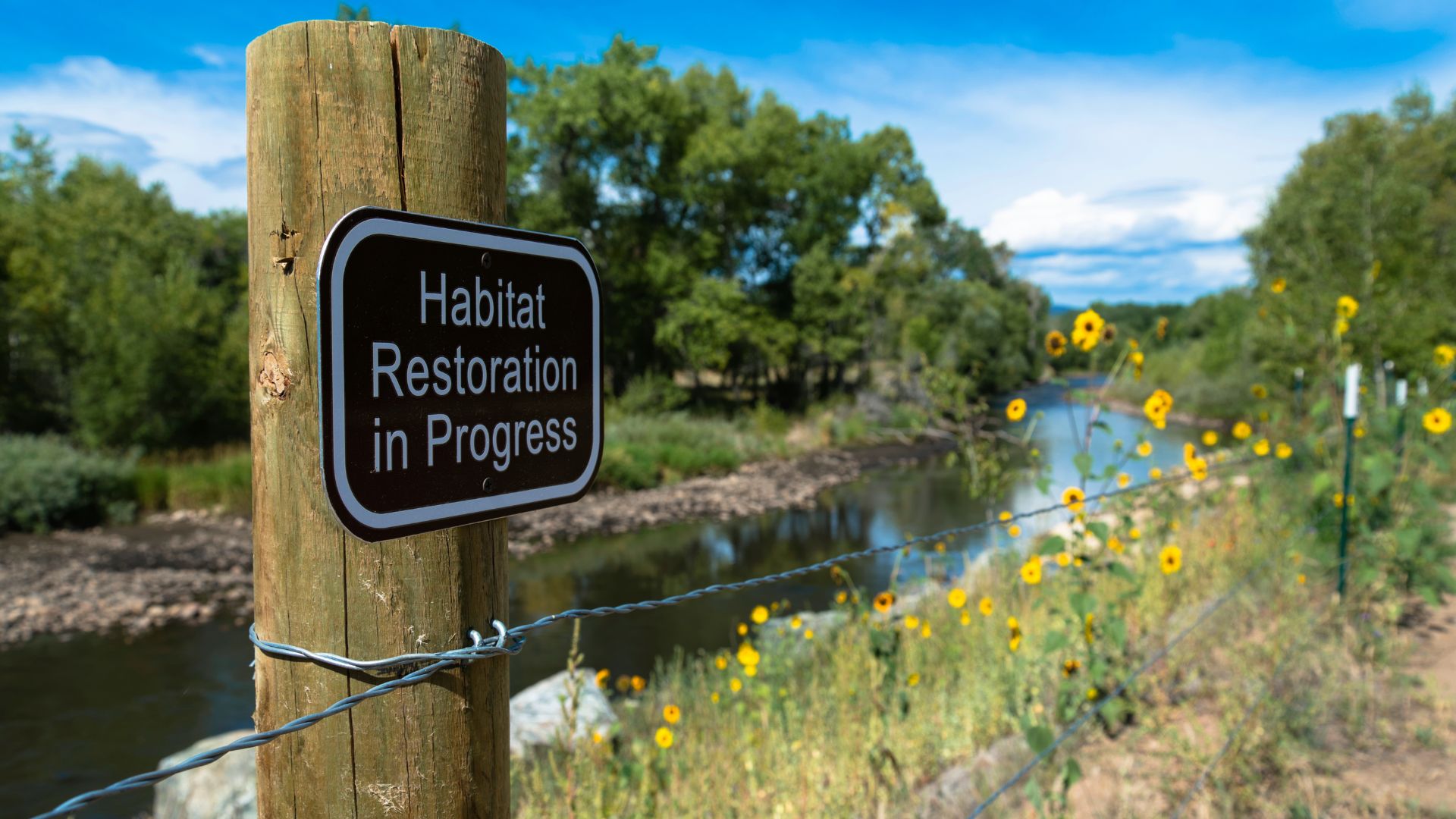 Habitat Restoration Initiatives