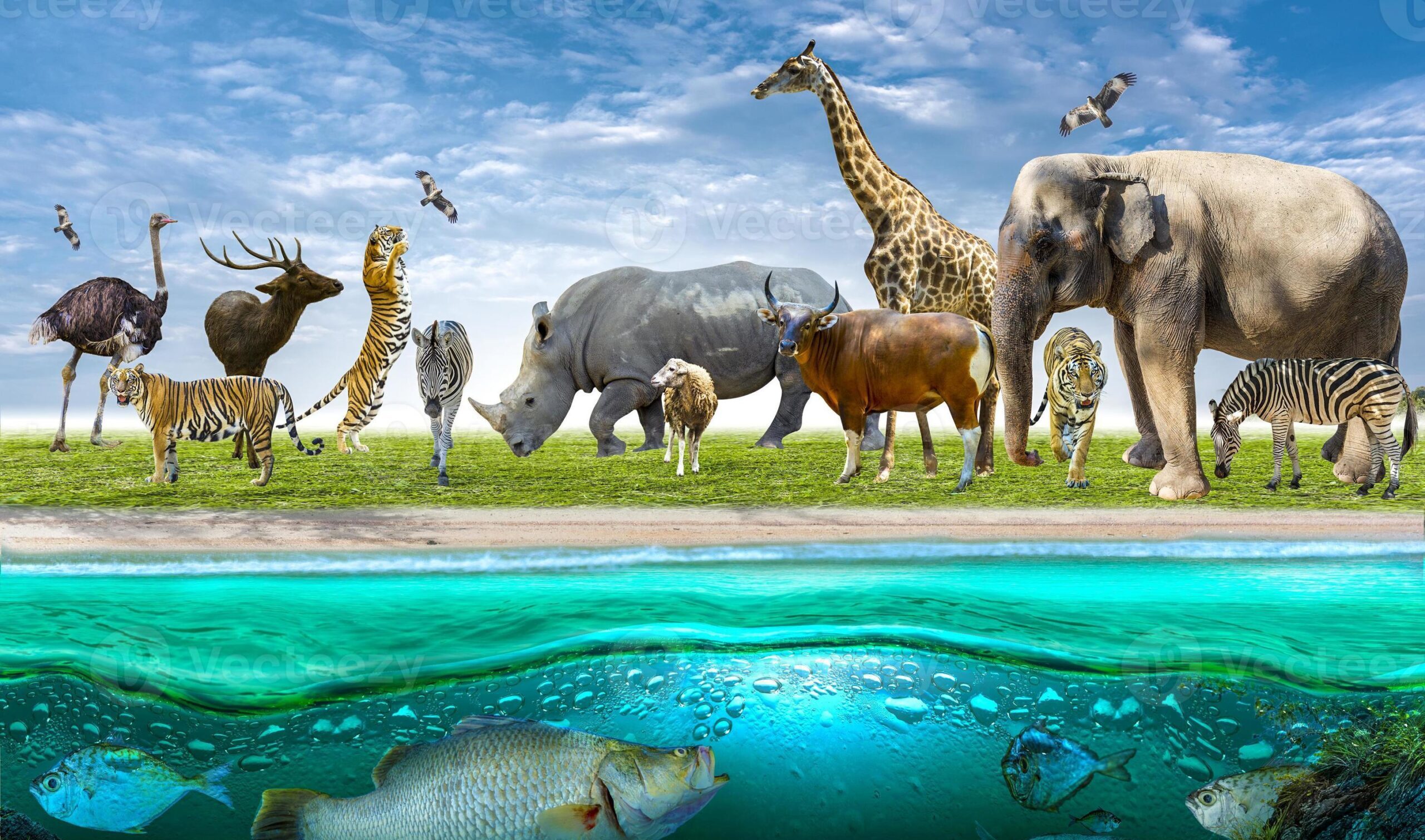 Impact on Wildlife Conservation Efforts