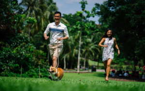 Stay Fit run to fitness