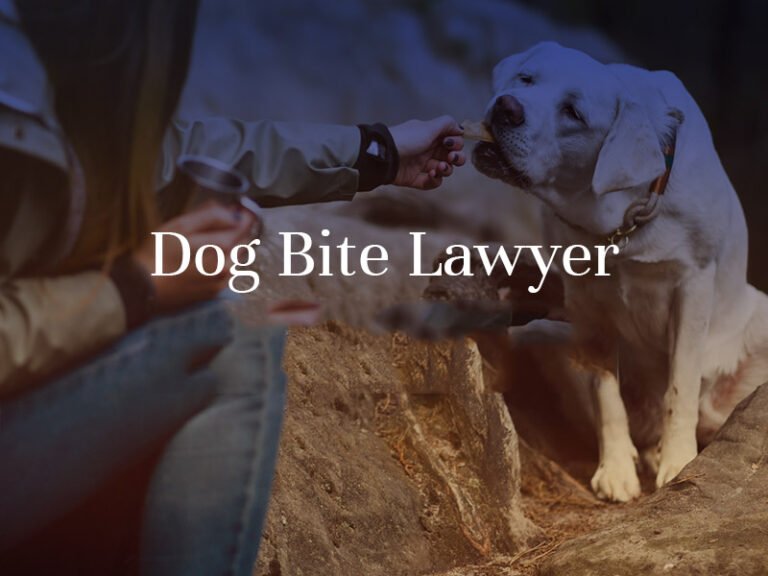 Dog bite lawyer