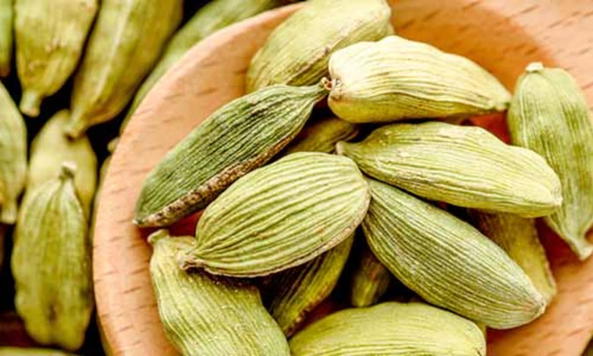 little cardamom