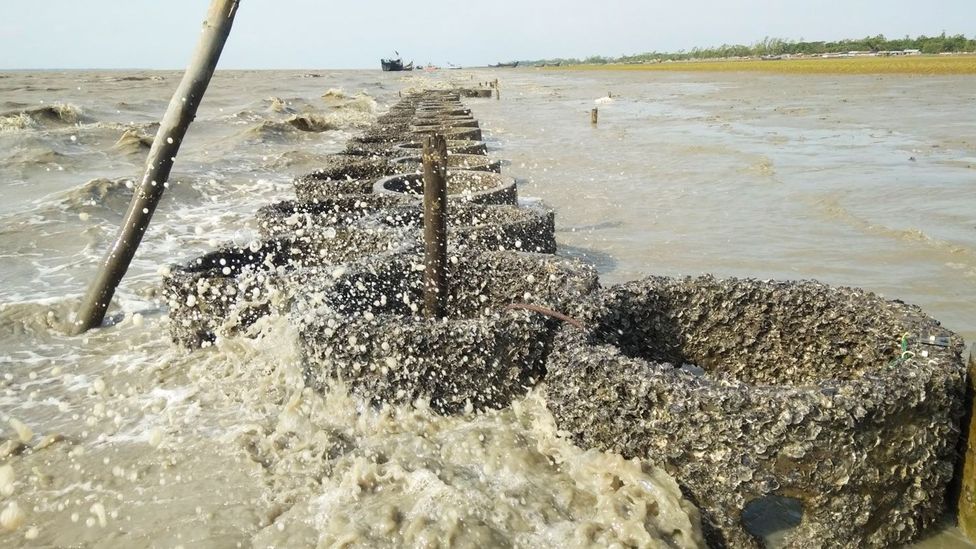 Extraordinary defender against the rising seas of Bangladesh