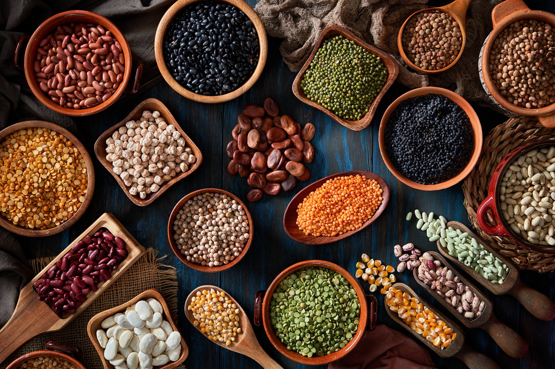 Legumes and Pulses