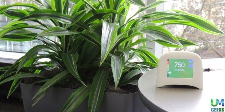 Indoor Air Quality Monitoring