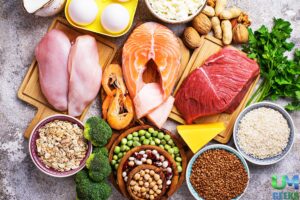 Low Fat High Protein Foods