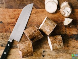 Cassava useful for benefits