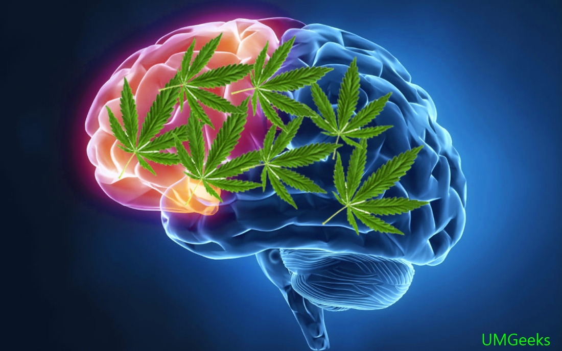 How does cannabis use affect our brain?