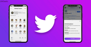 Twitter Spaces