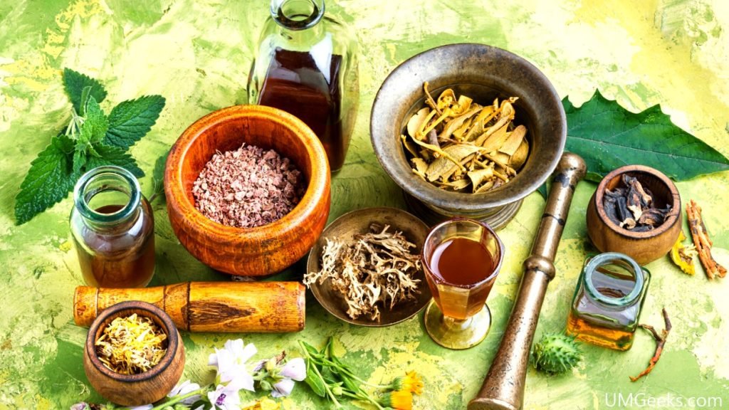 Most Popular Herbs for Natural Blood Purification