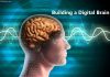 Building a Digital Brain