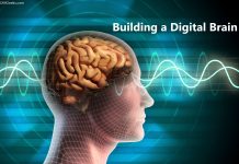 Building a Digital Brain