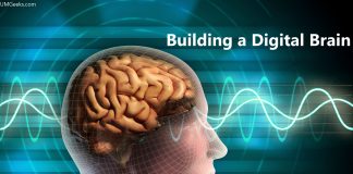 Building a Digital Brain