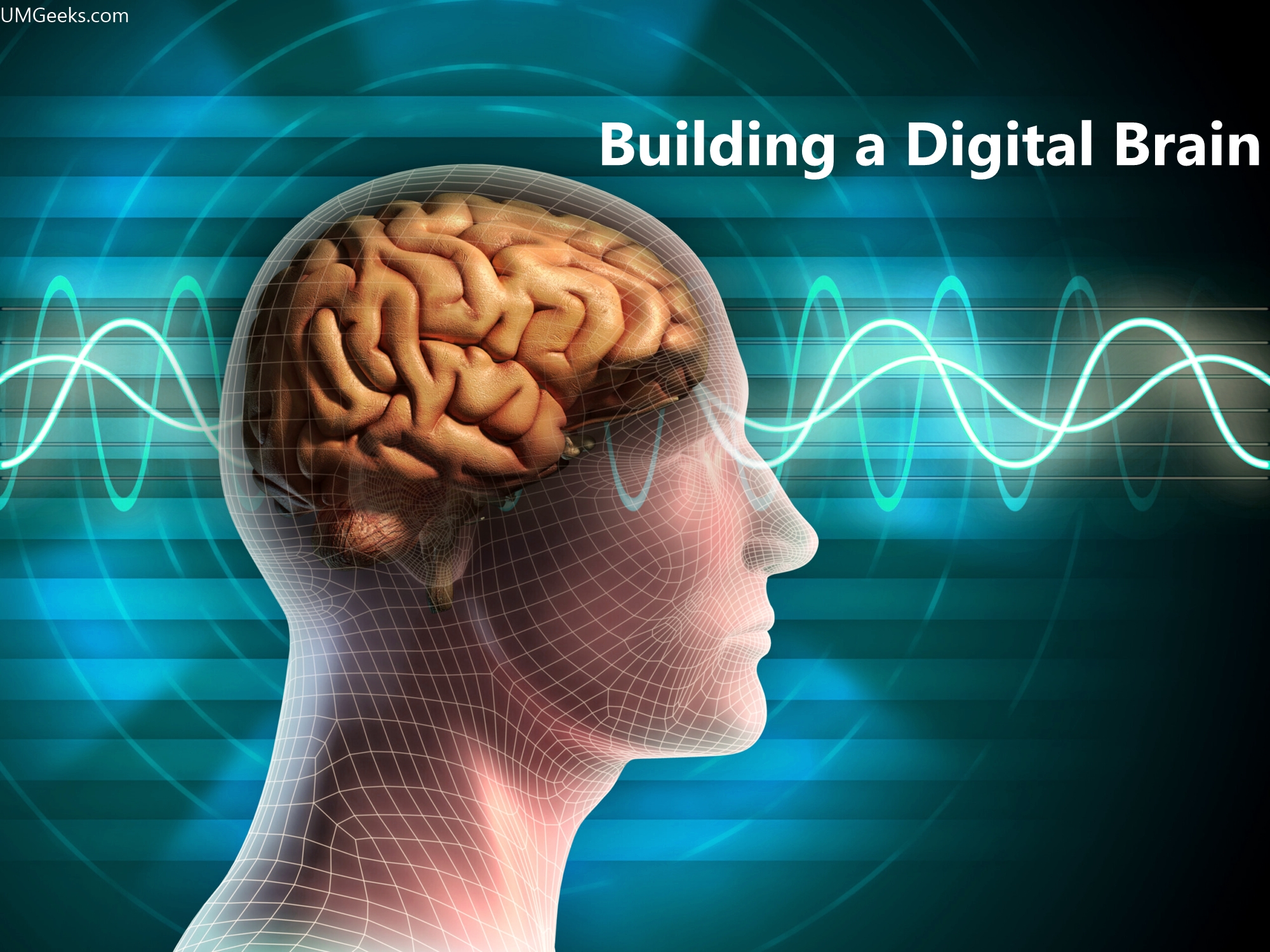 Building a Digital Brain (Your Second Brain)