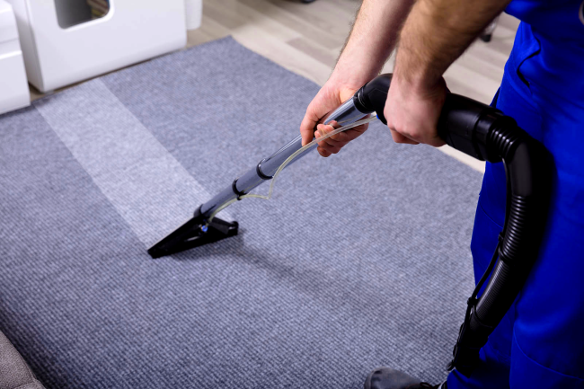 Unveiling the Secrets to a Dust-Free Haven