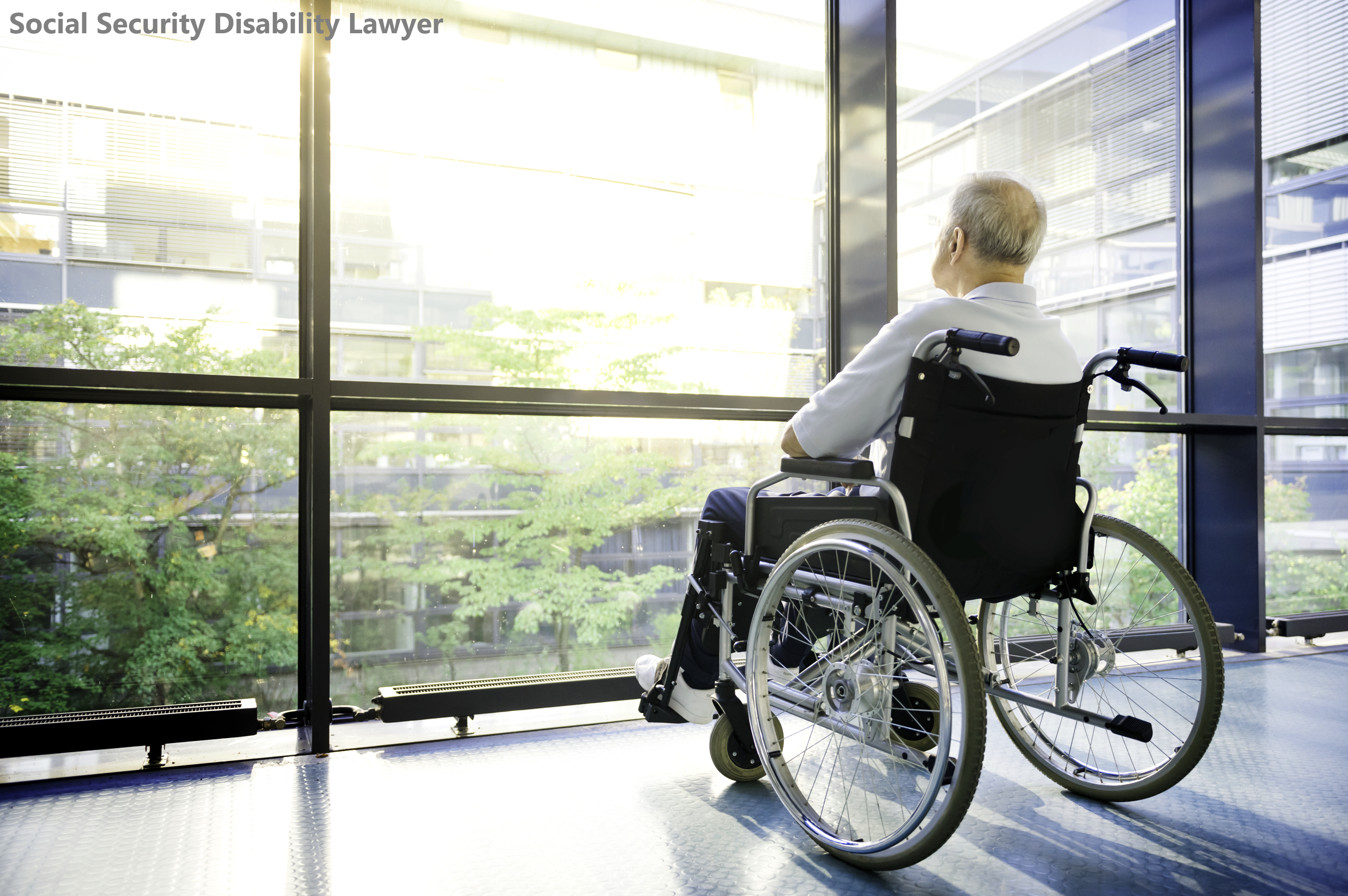 What Is the Social Security Disability Lawyer