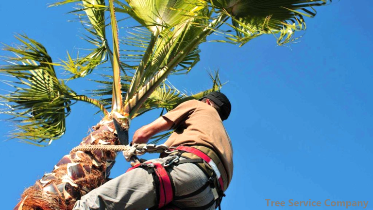 Tree Service Company