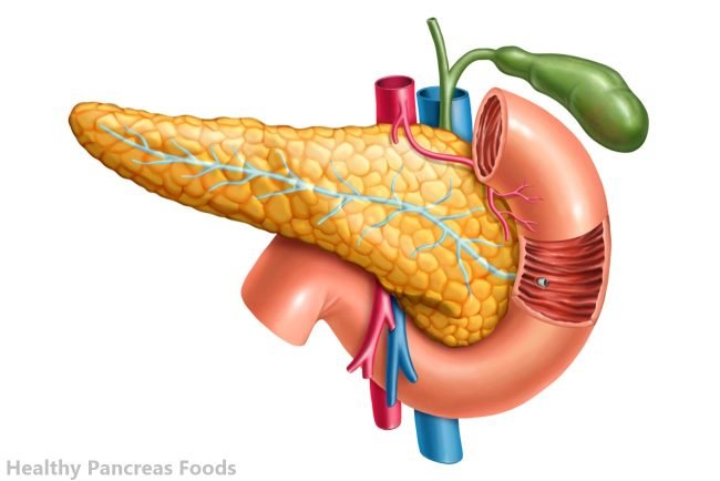 healthy pancreas foods
