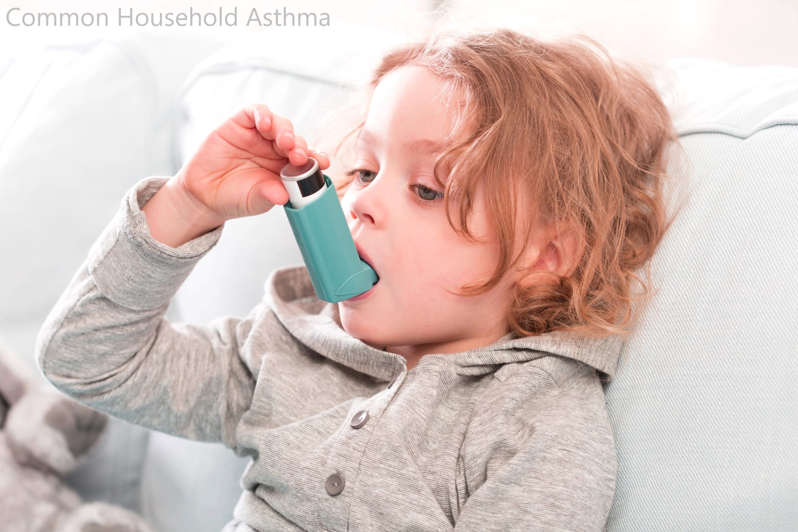 Avoiding Common Household Asthma Triggers
