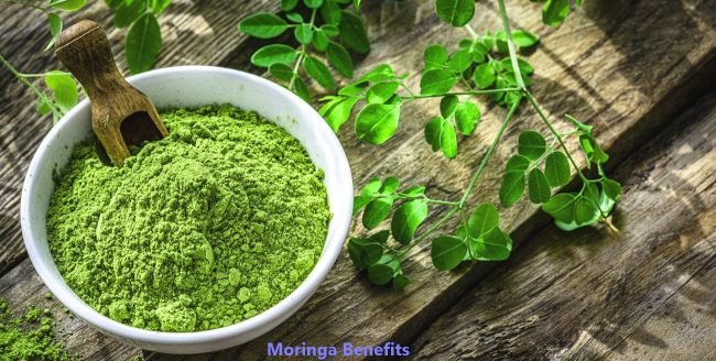Moringa Benefits