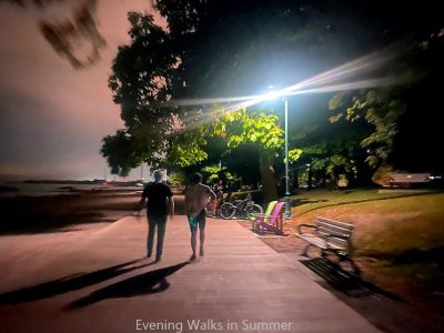 Evening Walks in Summer