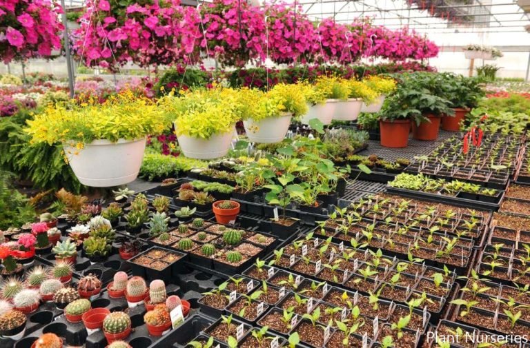 Plant Nurseries