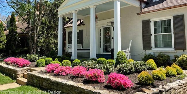 Investing in Quality: The Long-Term Benefits of Professional Landscape Design Professional Landscape Design