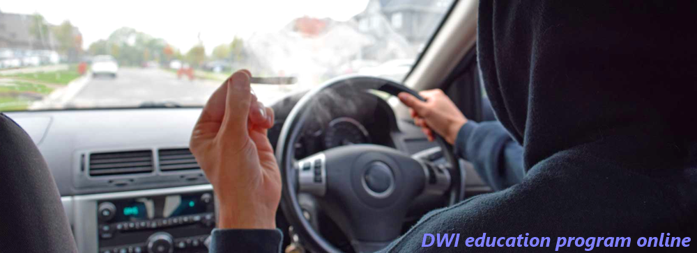 DWI education program online