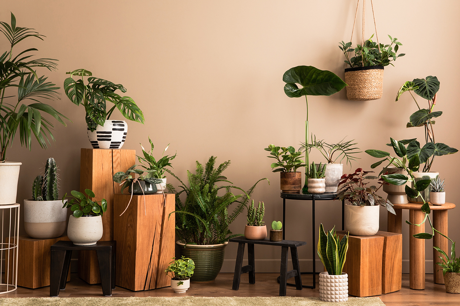 Plant Stands Over Store-Bought Options