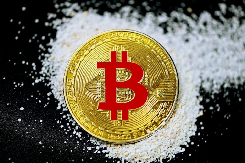 Profit from Cryptocurrencies: A Beginner’s Guide