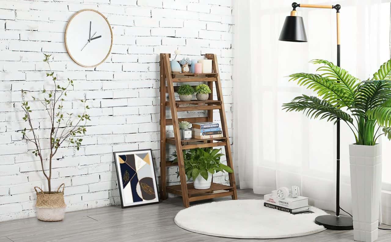 Rustic Ladder Plant Display